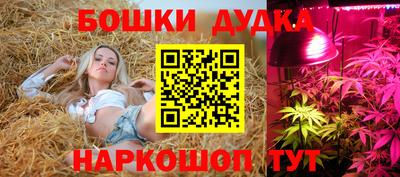 гидра Кулебаки