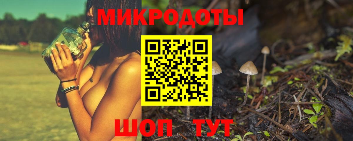 как найти закладки  Вход с VPN  Шахты  Псилоцибиновые грибы Psilocybe 